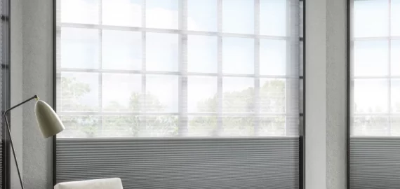 Day Night Blinds